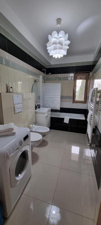 Sasu Appartement Timişoara