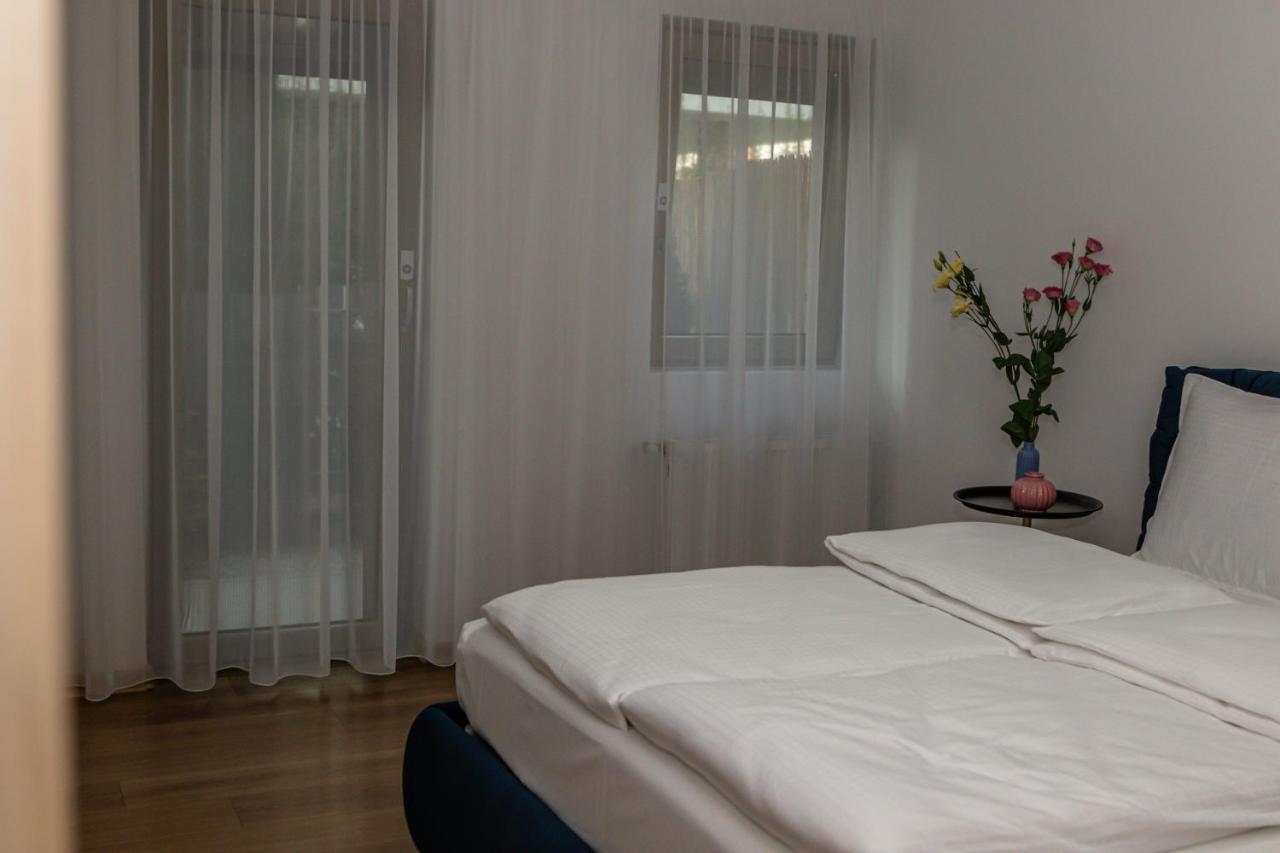 Sasu Appartement Timişoara